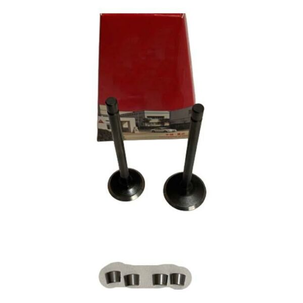 Suzuki An125 Hk 2006-2008 Subap Takımı Emme Egzoz Subabı Seti Dg