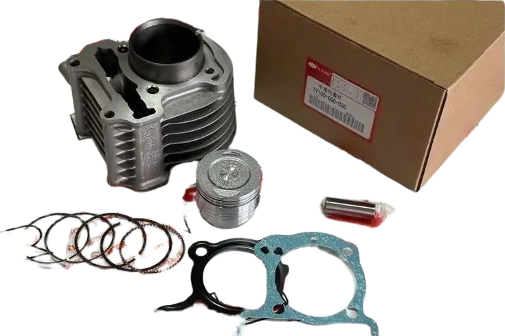 SPACY 110 SİLİNDİR KİT WUYANG OEM