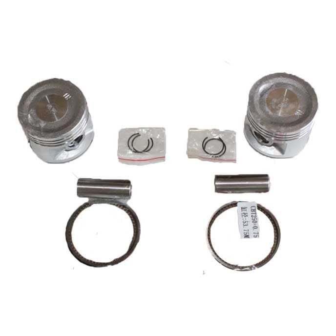 Regal Raptor DD 250 Ramzey QM 250 Piston Segman Kit 15 Perno 53.75mm