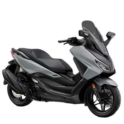 2024-2025 TFT Forza 250 NSS