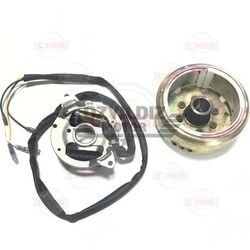 Moto Express STATOR VE MANYETO NH