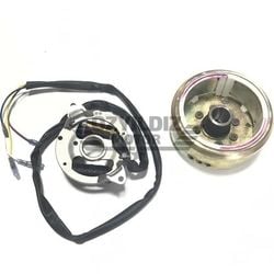 Moto Express STATOR VE MANYETO NH