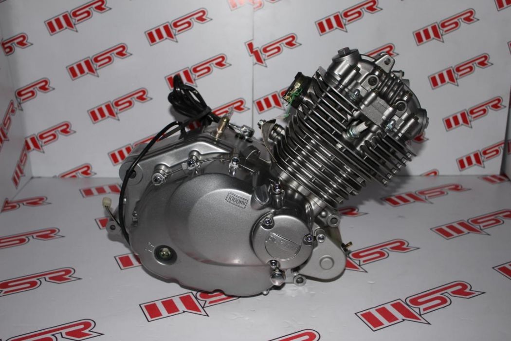 Moto Express GS 200 ALT MOTOR KOMPLE