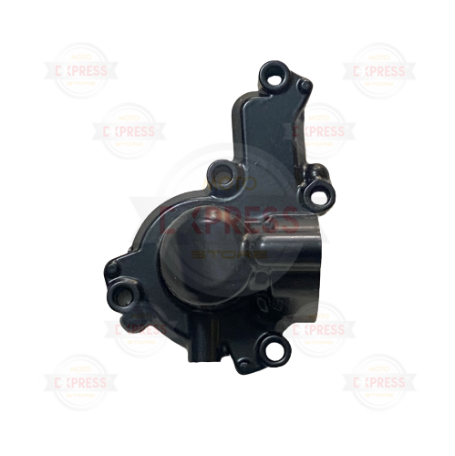 Moto Express SU POMPA KAPAĞI NS200 A