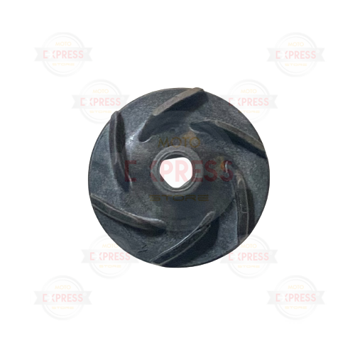 Moto Express SU POMPA FANI NS200 A !!