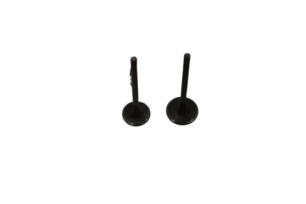 SYM FIDDLE 2 125  - ORBİT 125 - JET 4 125 - ALLO 125 - CROX 125 - X PRO 125 -  SR 125 SÜBAP TAKIM