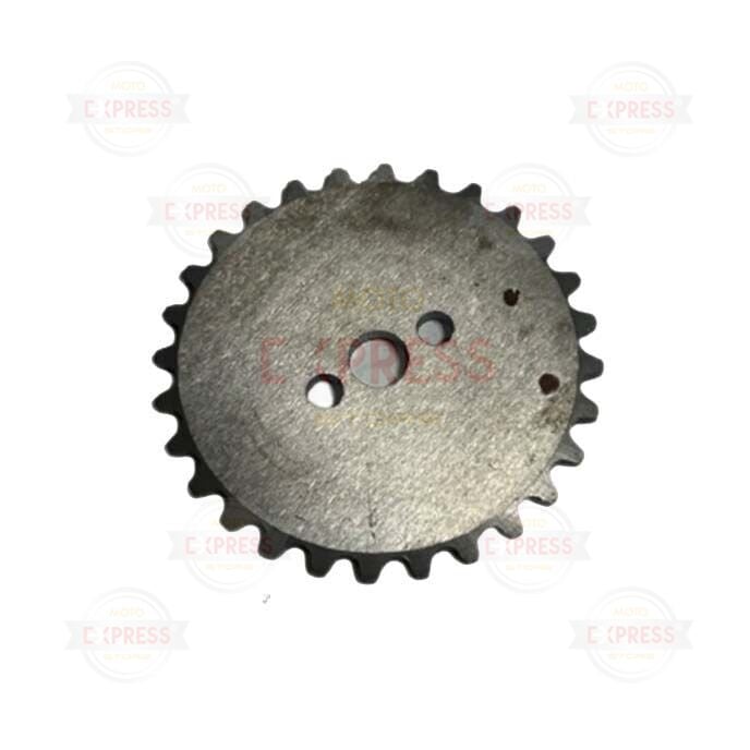 Moto Express EKSANTRİK YAPRAK DİŞLİ CD100