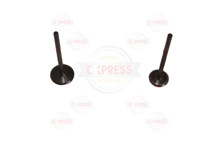 Suzuki Gsxr 250 Gw İnazuma V-Strom 250 Subap Tk