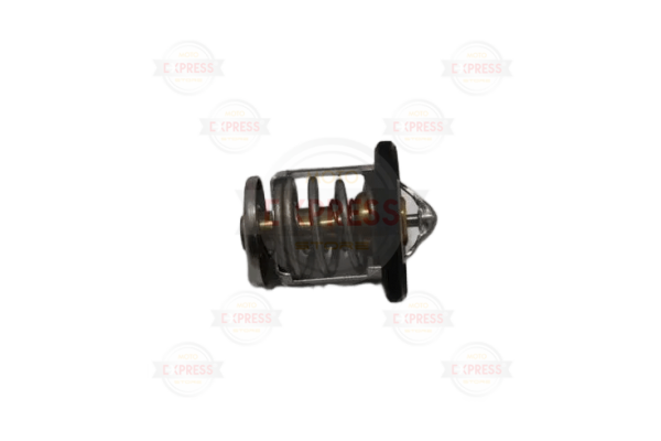 Pulsar Ns 200 Thermostat A