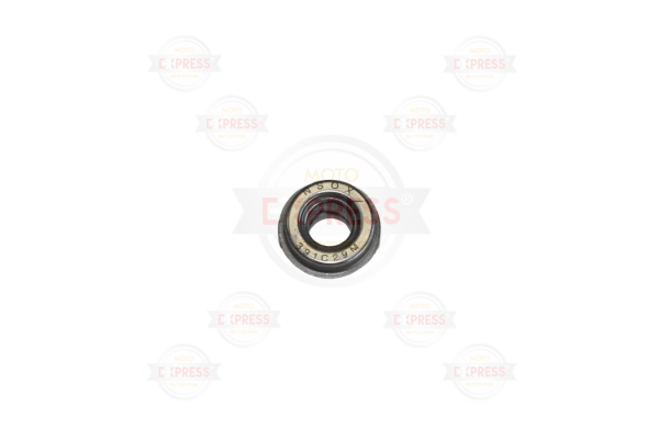 Kawasaki Nınja Devirdaim Keçe