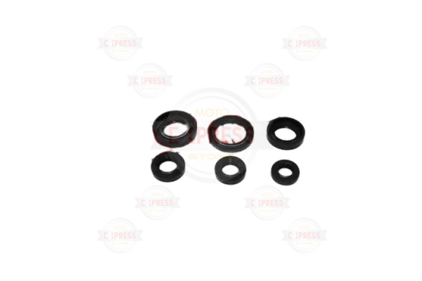 Bajaj Pulsar 150 Keçe Seti 4S