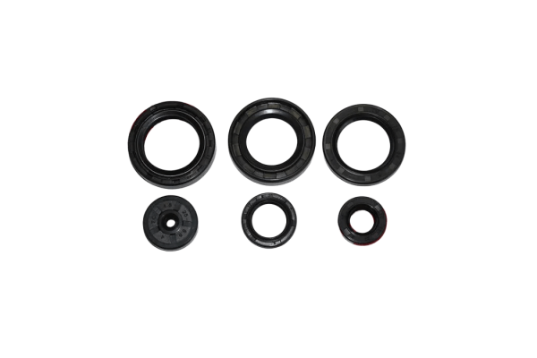 RX 115 KEÇE SETİ