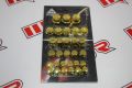 Moto Express SOMUN SETİ GOLDEN