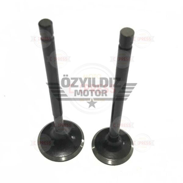 Moto Express SUPAP JUPİTER USHA TK