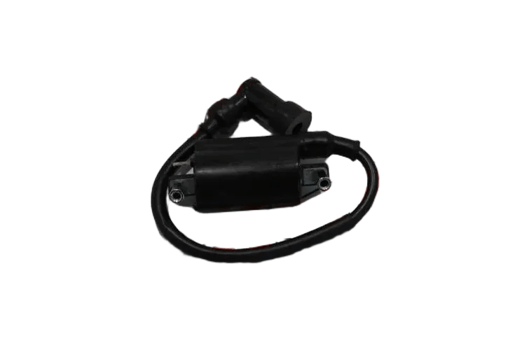 RAMZEY CROSS 200 CC ATEŞLEME BOBİNİ