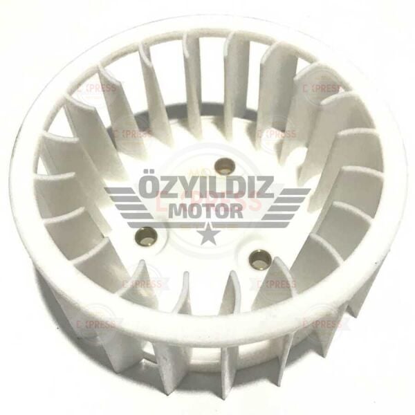 Moto Express FAN BWS100