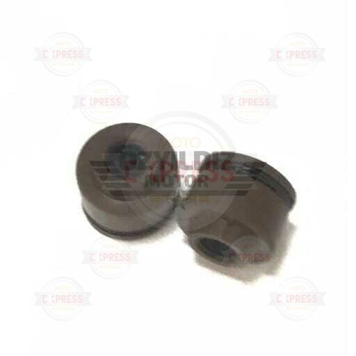 Moto Express SUPAP KEÇESI  CUP100