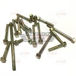 Moto Express ŞANZIMAN CİVATASI KİNETİC 9