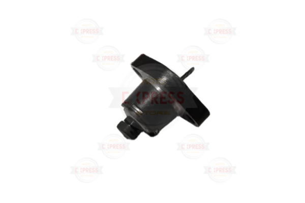 Bajaj Pulsar Ns 150 Eksantrik Zincir Gergi A