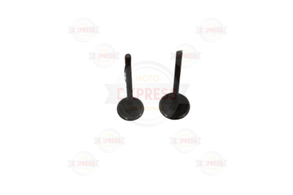 Tvs Scooty 75-90 Cc Pep Subap Tk