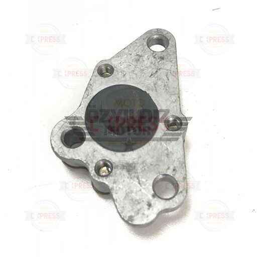 Moto Express YAĞ POMPASI CUP100