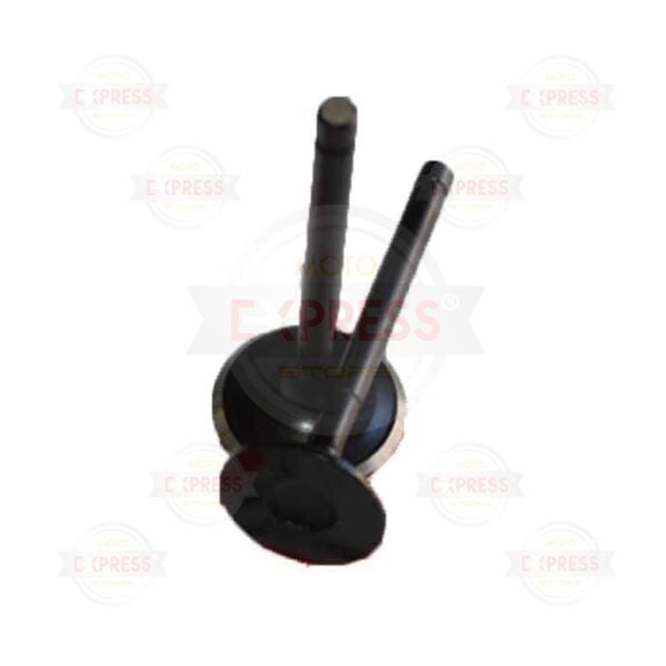 Yamaha Ybr 125 Subap Takımı Ix Emme Egzoz Subabı