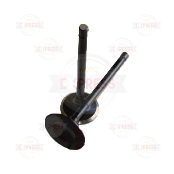 Tvs Apache Rtr 180 Subap Takımı Gz Emme Egzoz Subabı