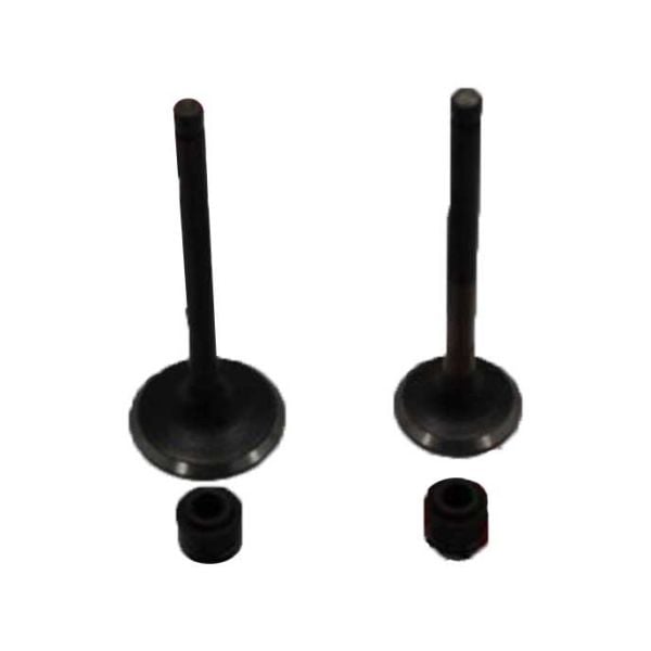 Hero Pleasure Subap ve Keçe Takımı Emme Egzoz Subabı DP1 A