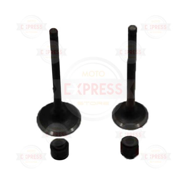 Hero Pleasure Subap Ve Keçe Takımı Emme Egzoz Subabı A