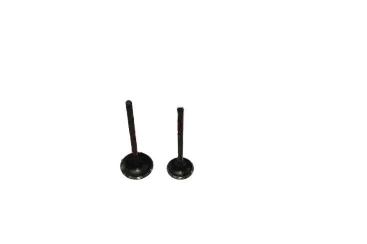 HERO DASH 125 SÜBAP TK INOX(22-27 74)