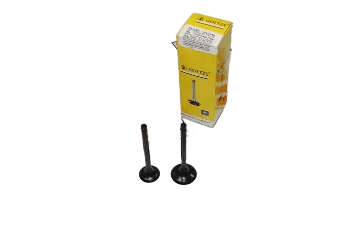 TVS SCOOTY PEP SÜBAP TK GOETZE(19-24 68)