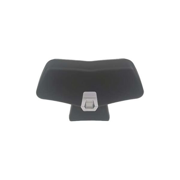 Honda Pcx 125 2021-2025 Uyumlu Sissy Bar Arka Yolcu Sırt Dayama M2