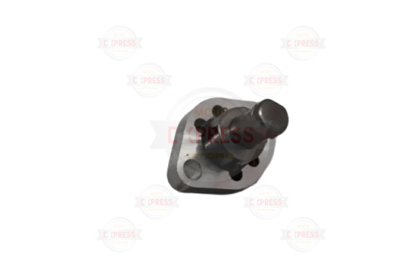 Yamaha Nmax Eksantrik Zincir Gergi