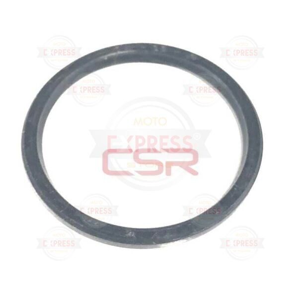 Moto Express KASNAK KEÇESİ ARKA ACTIVA