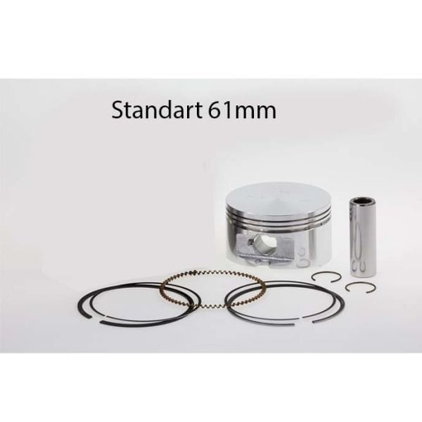 61mm Standart SYM HD200 HD2 Efi 200 Piston Segman Kit D1
