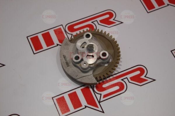 Moto Express ASYA GY 200 TAY YAĞ POMPASI KOMPLE(DİŞLİLİ)