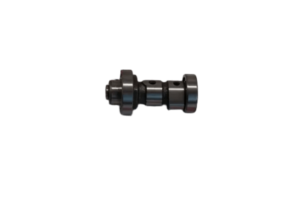 CYGNUS RS 125 EKSANTRİK MİLİ OEM