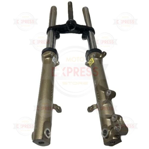 Tvs Apache RTR200 2019-2024 Ön Sağ Sol Amortisör Bacak Maşa Takımı A