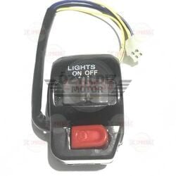 Moto Express KÜTÜK SAĞ BWS100 TW