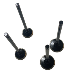 Moto Express SUPAP BOXER USHA 2 Lİ