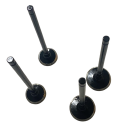 Moto Express SUPAP BOXER USHA 2 Lİ