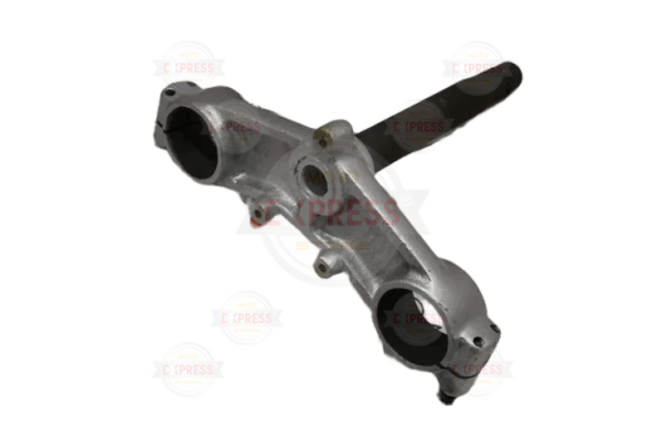 Asya Gy 200 Tay Alt Platin