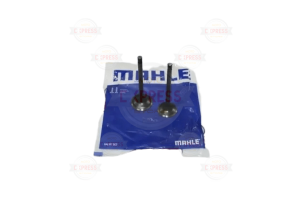 Tvs Apache Rtr 160 -180 Subap Tk Mahle