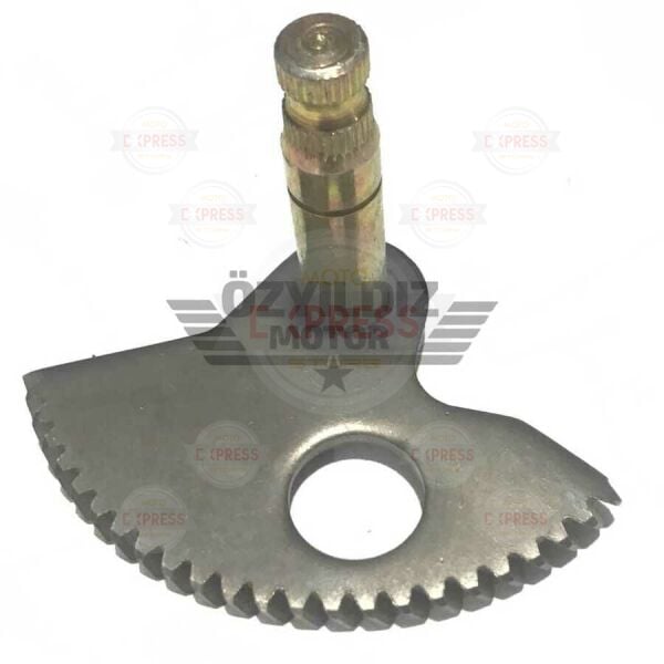 Moto Express MARŞ MİLİ BWS100 TW