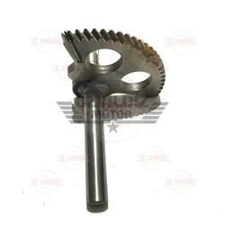 Moto Express MARŞ MİLİ CYGNUS RS A