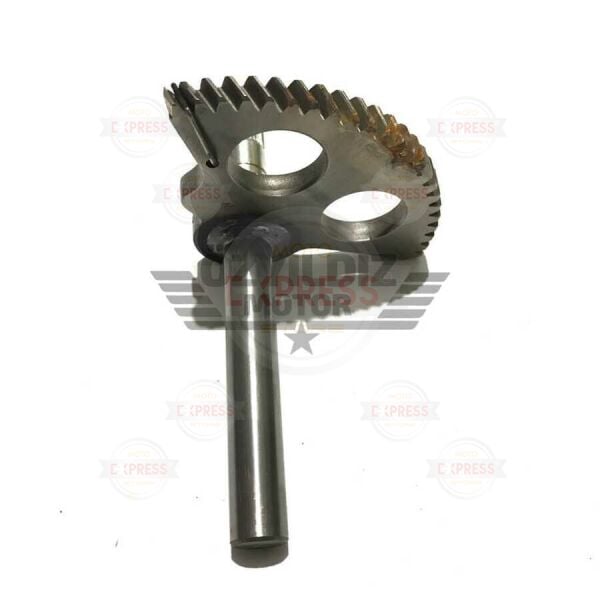 Moto Express MARŞ MİLİ CYGNUS RS A