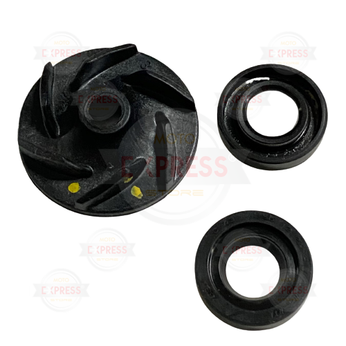 Moto Express SU TAMİR KİTİ NS200 A