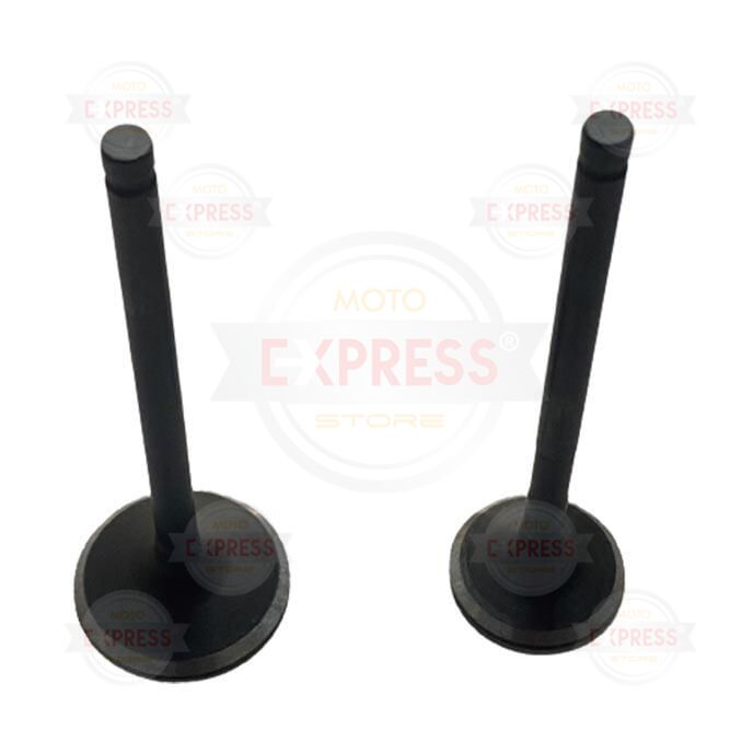 Honda PCX 125 2'li Subap Takımı 11-20 DDNG