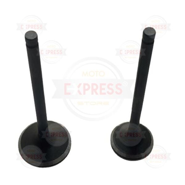 Honda PCX 125 2'li Subap Takımı 11-20 DDNG