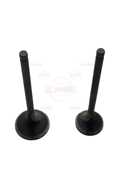 Honda PCX 125 2'li Subap Takımı 11-20 DDNG